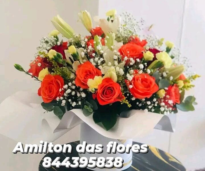 Amilton das flores