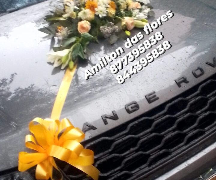 Amilton das flores