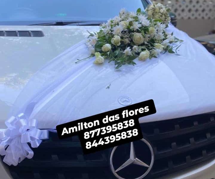 Amilton das flores