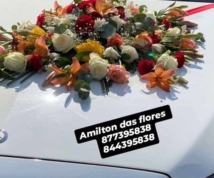 Amilton das flores