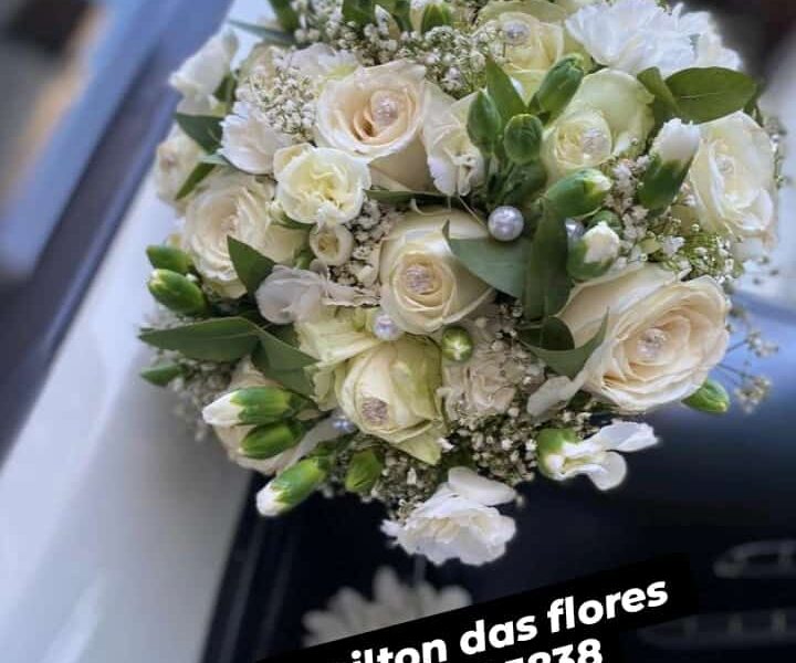 Amilton das flores