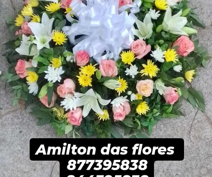 Amilton das flores